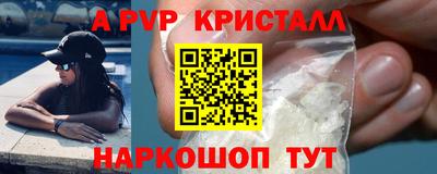 стаф Кинель