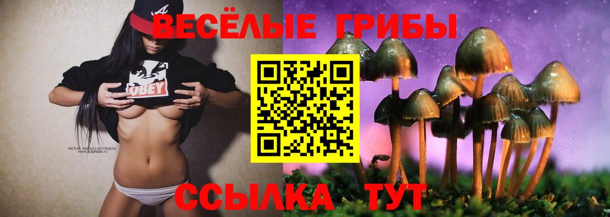 Псилоцибиновые грибы Psilocybine cubensis Шадринск