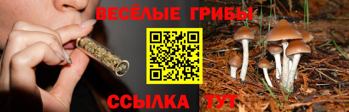 Псилоцибиновые грибы ЛСД  Вход с VPN  Псилоцибиновые грибы GOLDEN TEACHER  Шадринск 